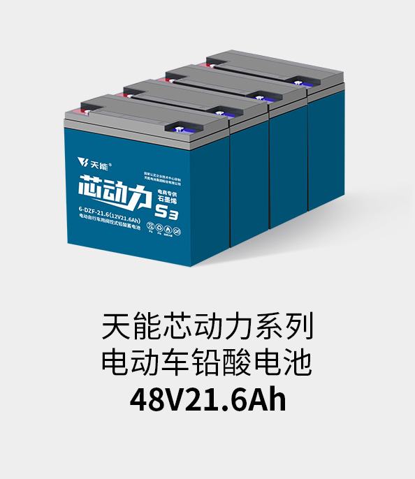 k8凯发国际电池48v20ah