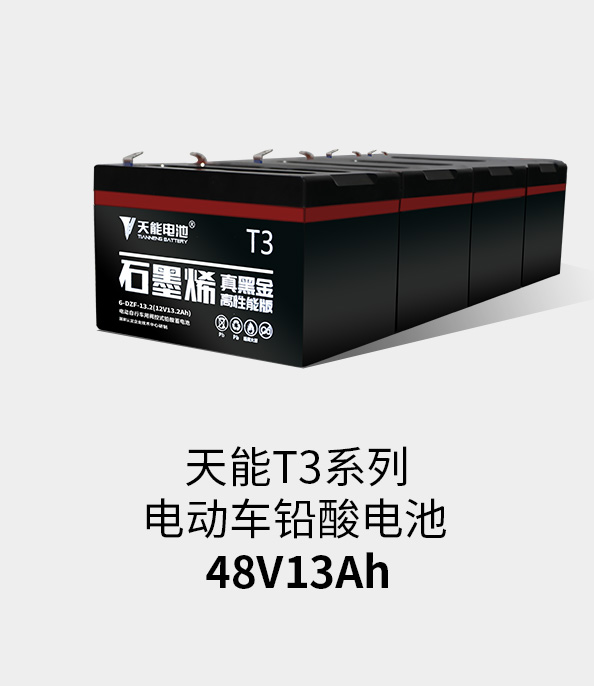 k8凯发国际T3系列48v13ah