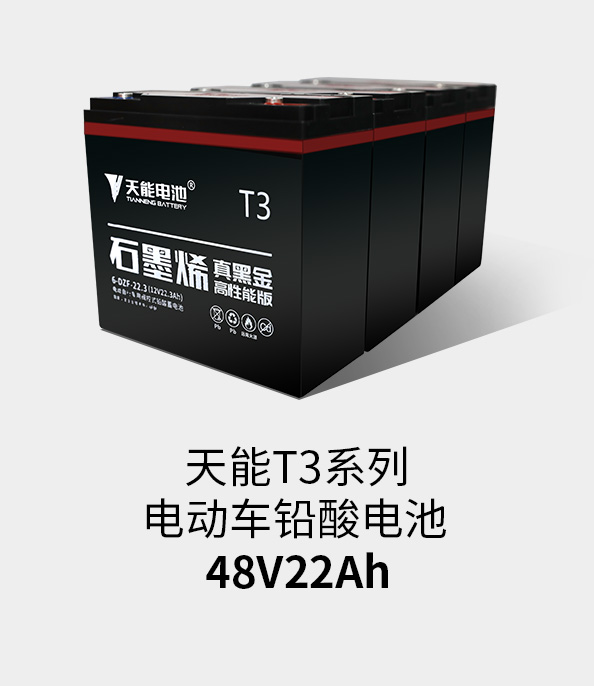 k8凯发国际T3系列48v22ah
